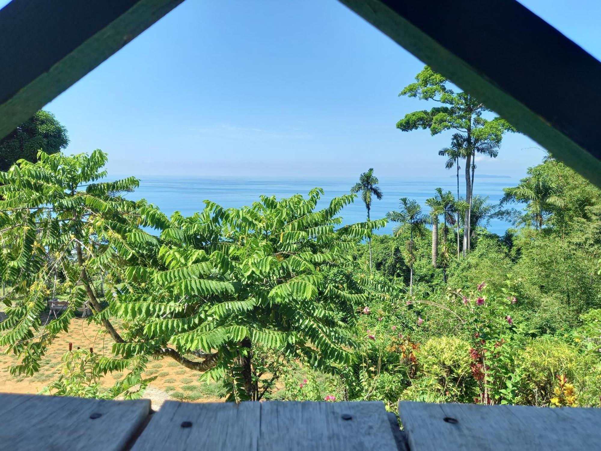 Bella Vista Corcovado Hotel Drakes Bay Екстериор снимка