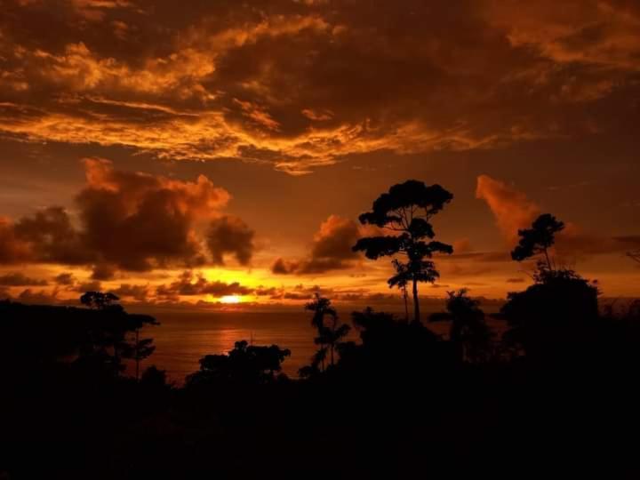 Bella Vista Corcovado Hotel Drakes Bay Екстериор снимка