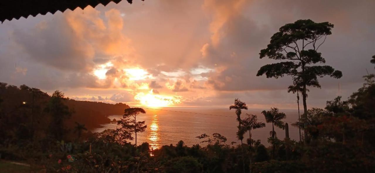 Bella Vista Corcovado Hotel Drakes Bay Екстериор снимка