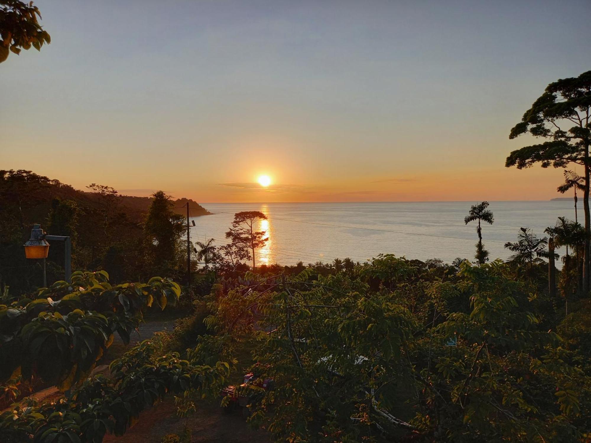 Bella Vista Corcovado Hotel Drakes Bay Екстериор снимка